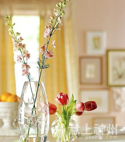 裝飾裝修,裝修設(shè)計,家居裝修,花卉裝飾