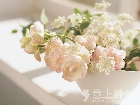 裝飾裝修,家居裝修,裝修設(shè)計,環(huán)保家居